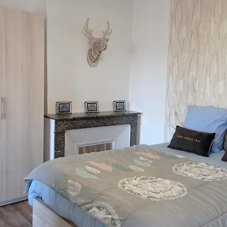Appartement Neuf, 50m2, 4m50 de loggia à Auch Extérieur photo